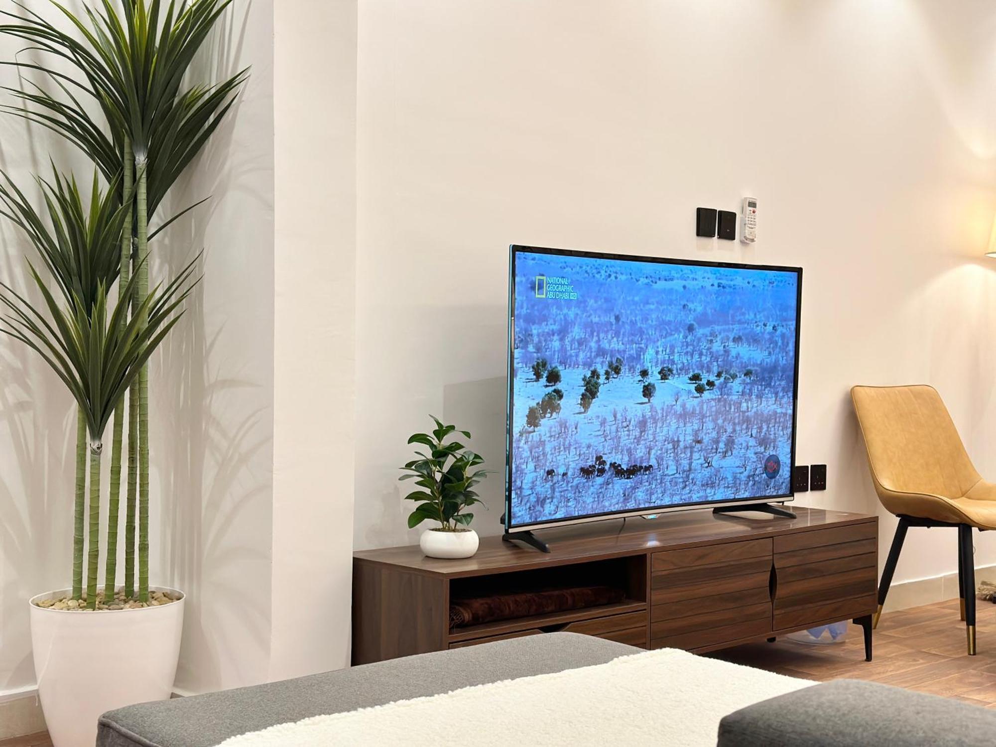 Apartment New Stadio In Centre Of